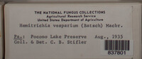 Image Associated With the Occurence